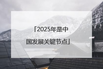 2025年是中国发展关键节点